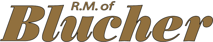 RM 343 of Blucher